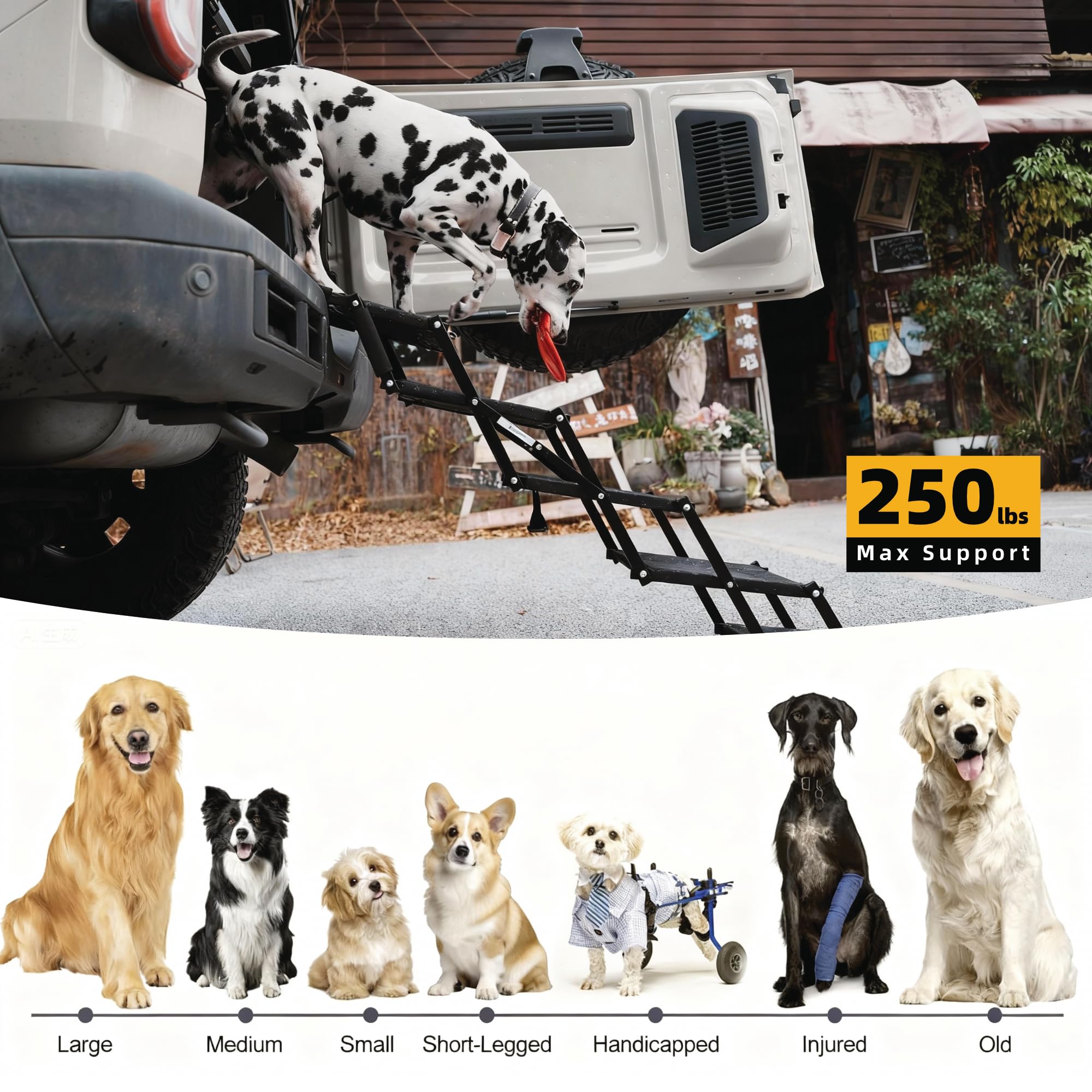 Dicprms Marches chien pliables compactes - rangement pratique dans le coffre.