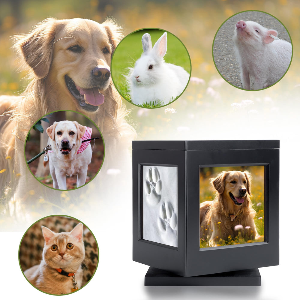 Base rotative DiDiBirDi, urne stable sous tous les angles.