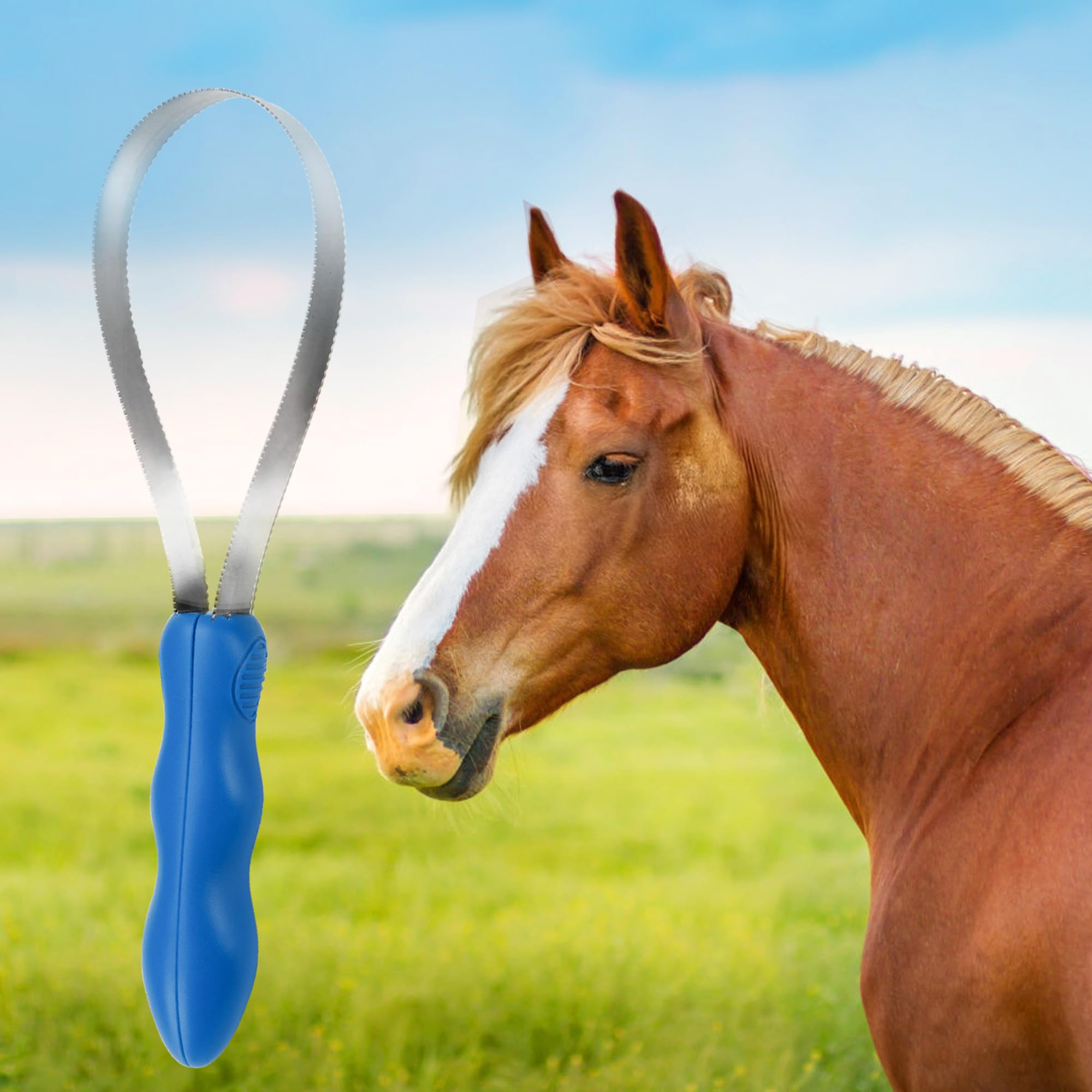DiDiBirDi prise confort, brosse ergonomique pour un brossage durable.
