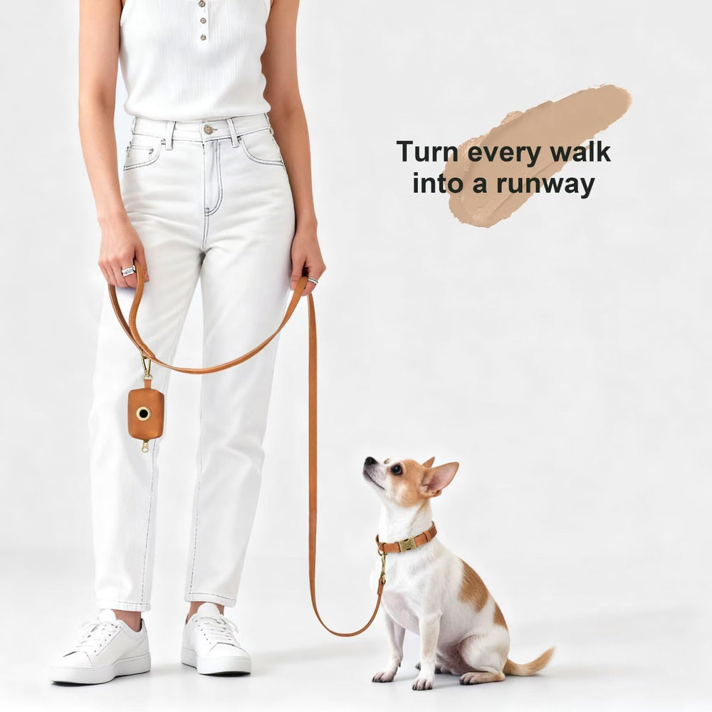 Attache métallique anti-enchevêtrement Didog assure une connexion fiable pendant les promenades.