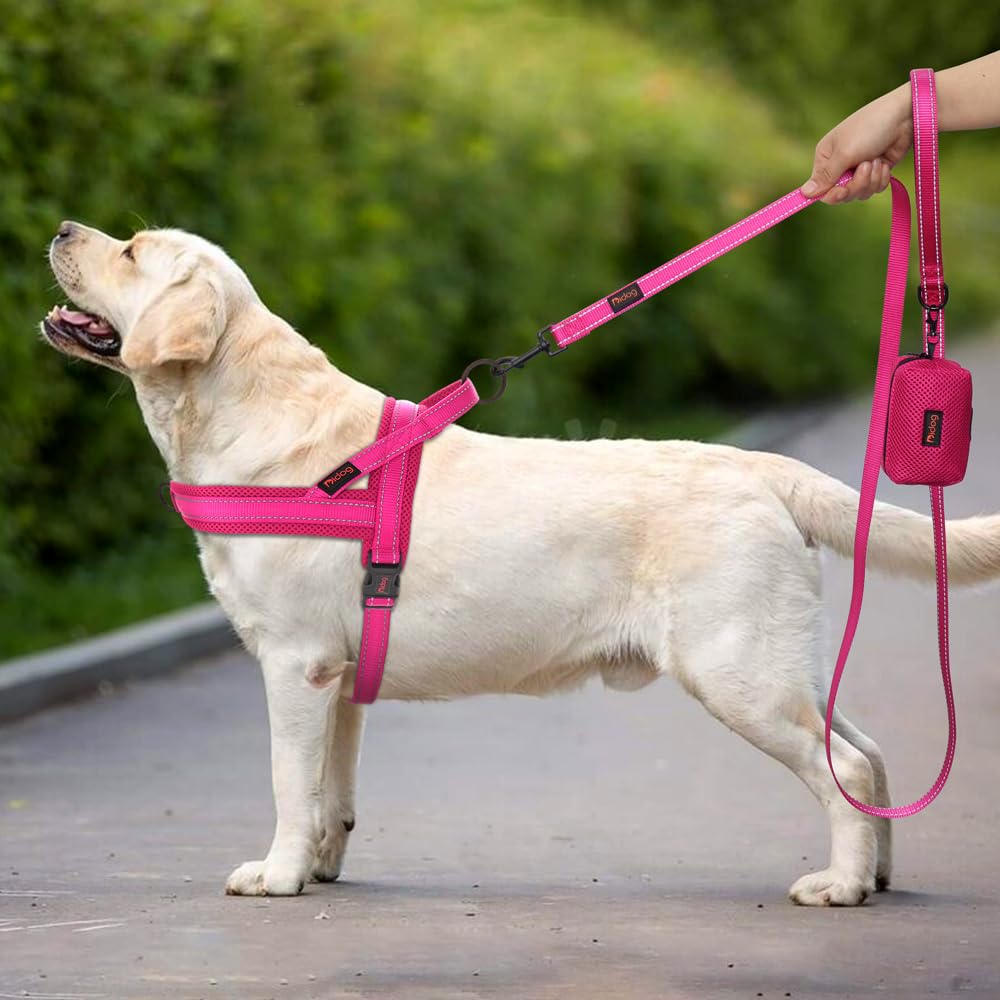 Didog harnais facilement ajustable pour entraînement et promenades sans tirage.