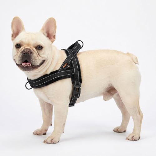 Harnais Didog à ajustement rapide avec une seule boucle pour enfiler facilement.