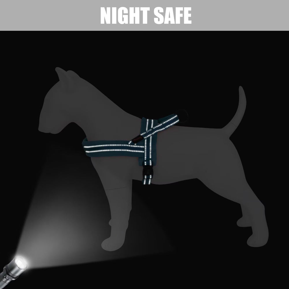 Didog harnais flanelle bleu — confort et matériel résistants.