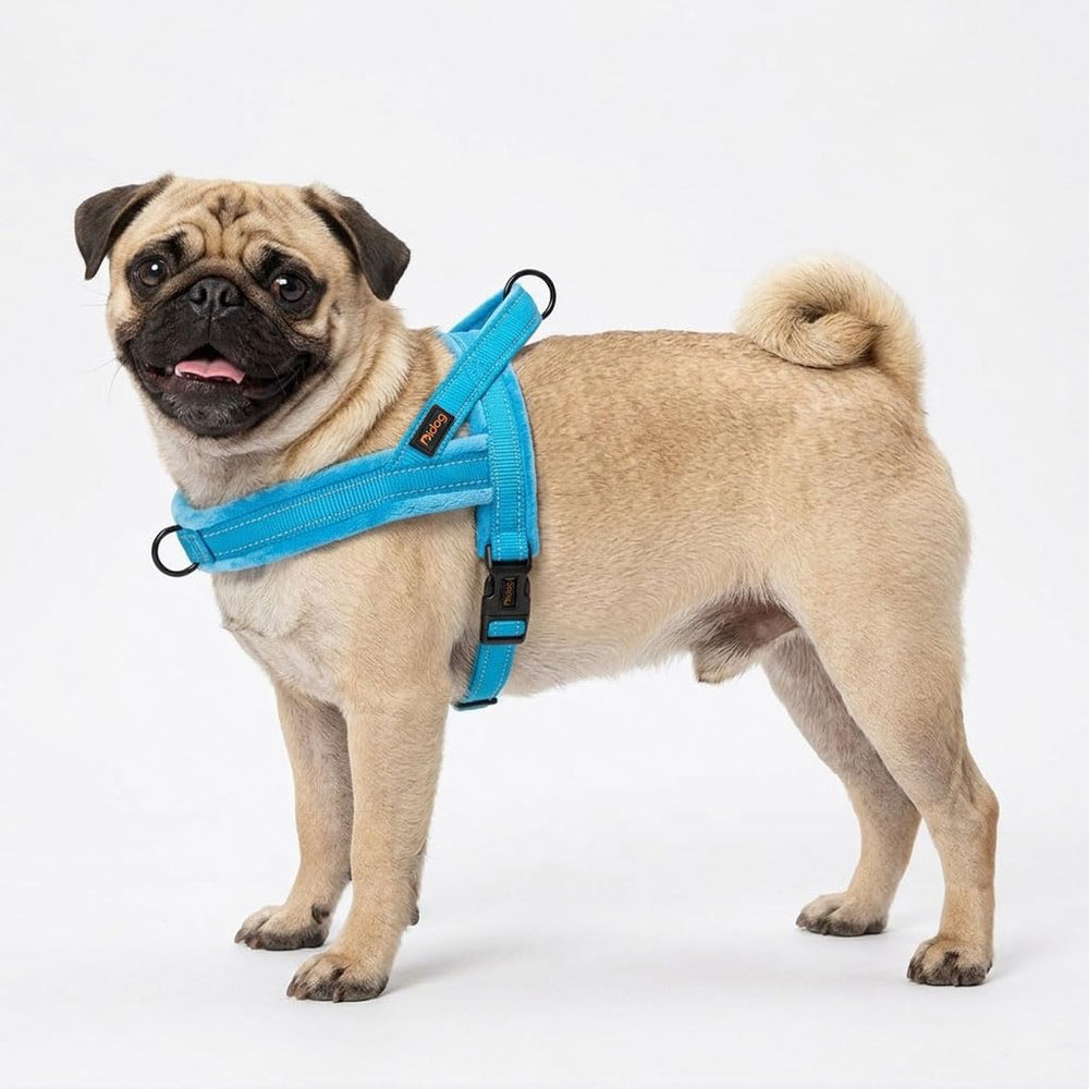 Didog harnais flanelle bleu — dos, rembourrage doux pour les longues balades.