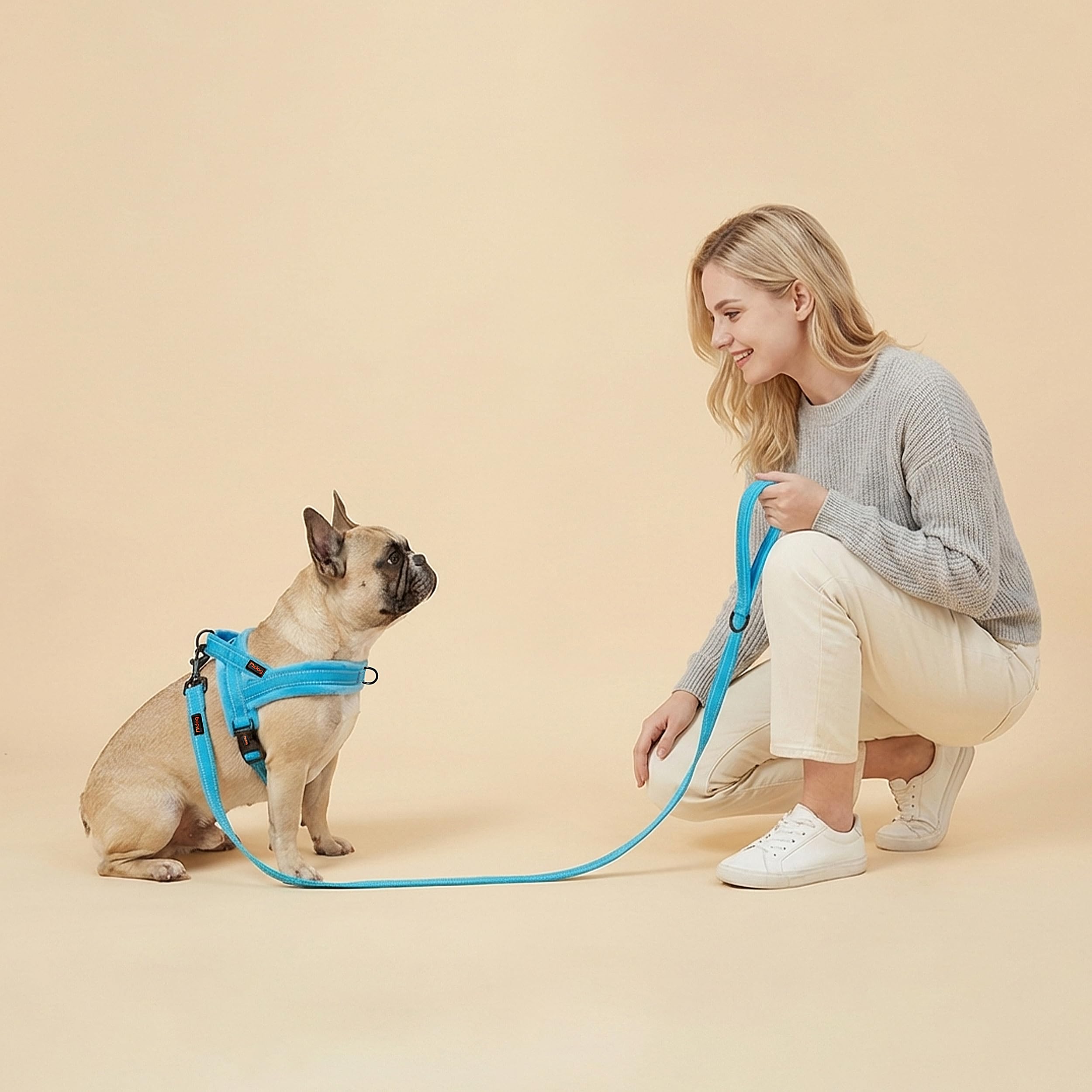 Didog harnais flanelle bleu — utile pour l’entraînement quotidien.