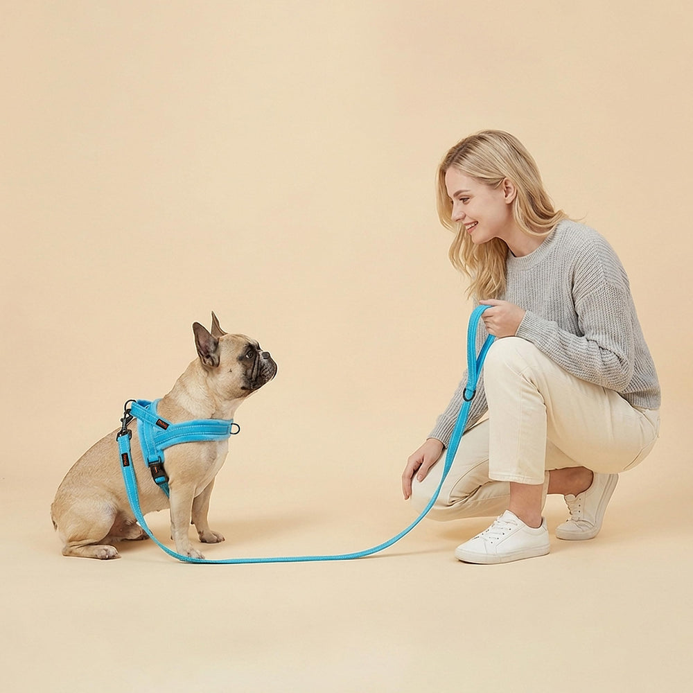 Didog harnais flanelle bleu — utile pour l’entraînement quotidien.