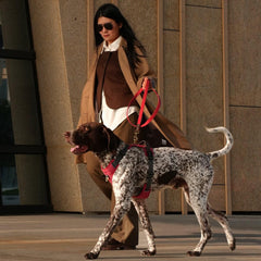 Harnais Didog avec bandes réfléchissantes rouge pour meilleure visibilité.