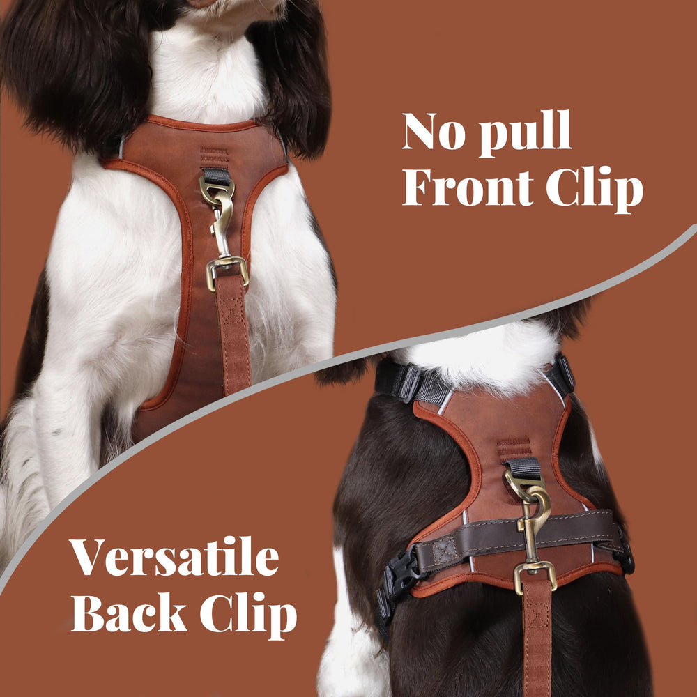 Harnais Didog clip arrière pour promenades calmes et confortables