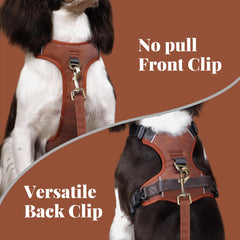 Harnais Didog clip arrière pour promenades calmes et confortables