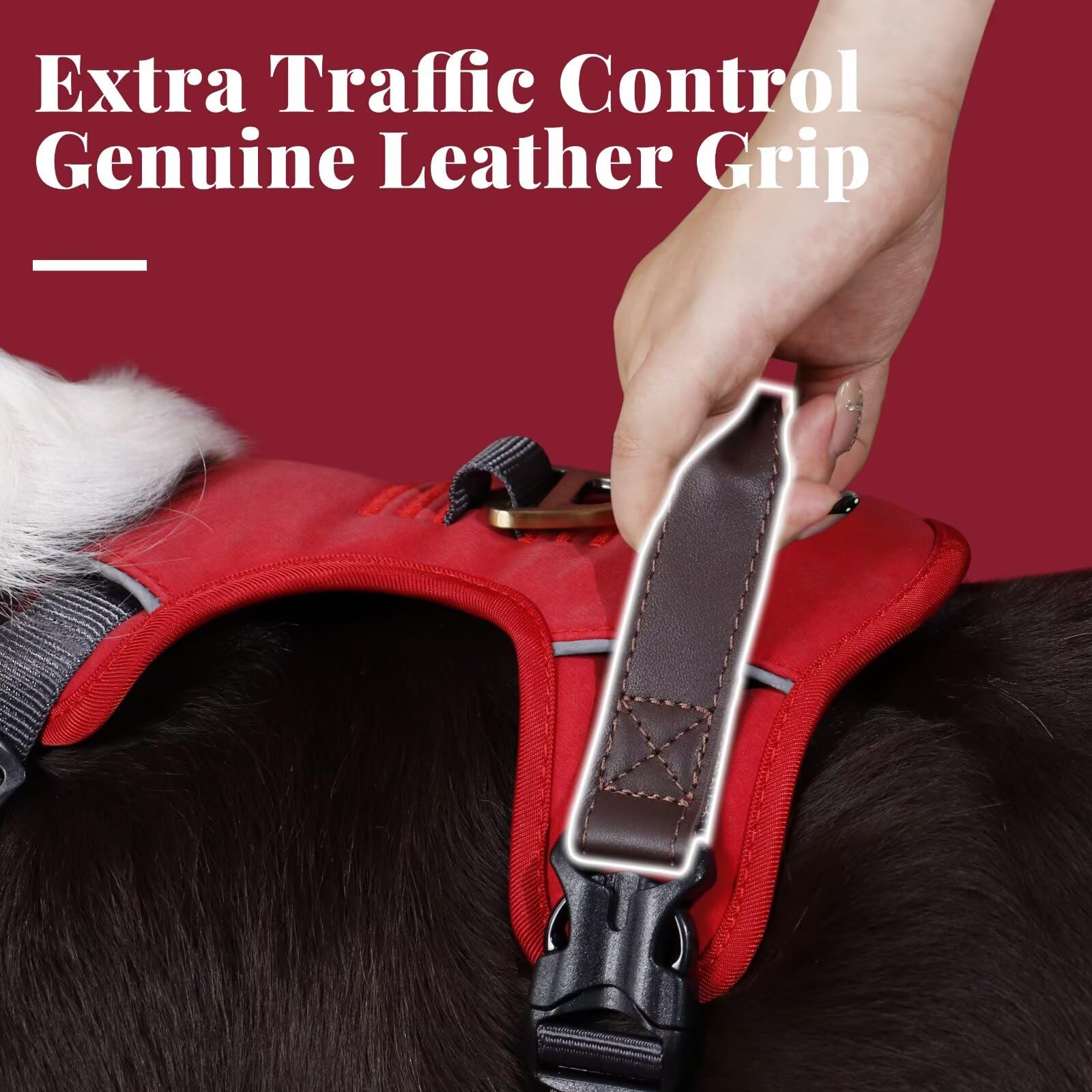 Harnais Didog cuir synthétique confortable rouge avec rembourrage doux.