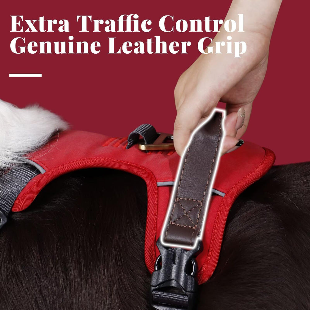 Harnais Didog cuir synthétique confortable rouge avec rembourrage doux.