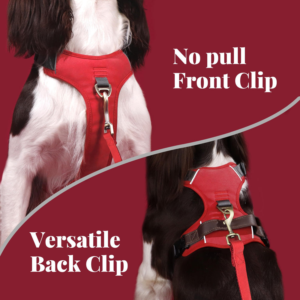 Enfilage rapide du harnais Didog pour chien moyen rouge.