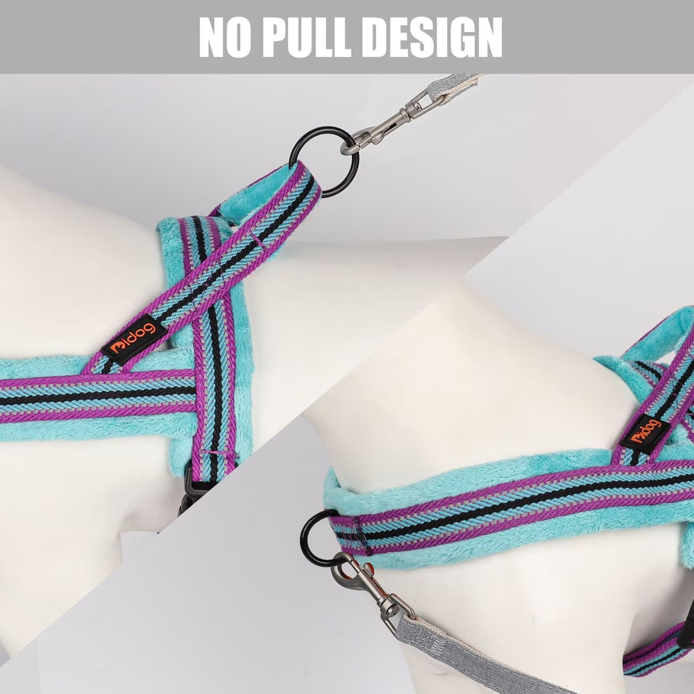 Harnais Didog pour promenade et entraînement, design simple et léger.