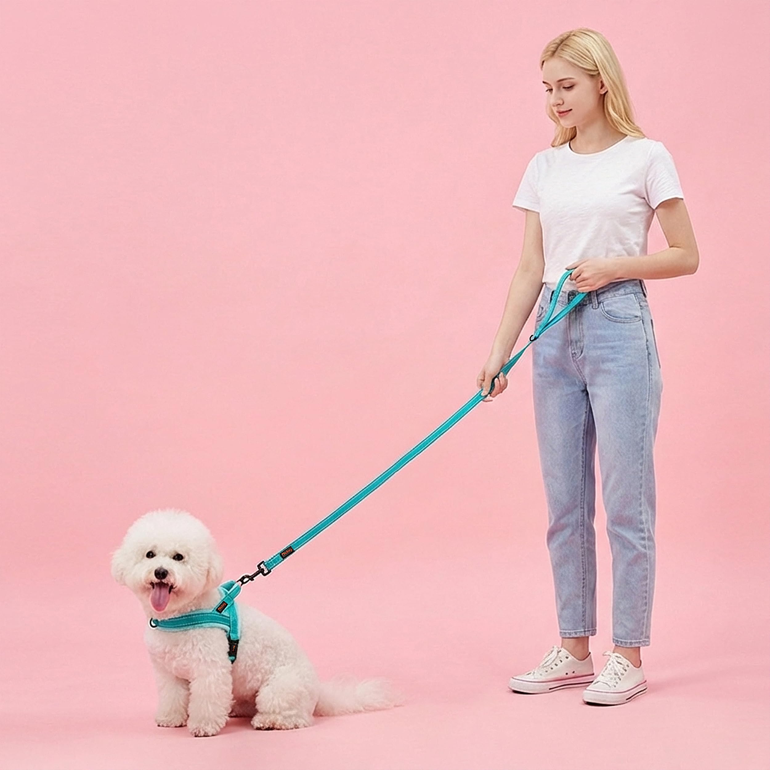 Harnais Didog pour promenade, vue utilisation, idéal pour entraînements et sorties.