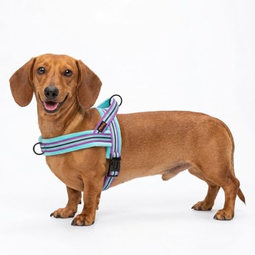 Harnais Didog rembourrage flanelle dos, confort durant les promenades.