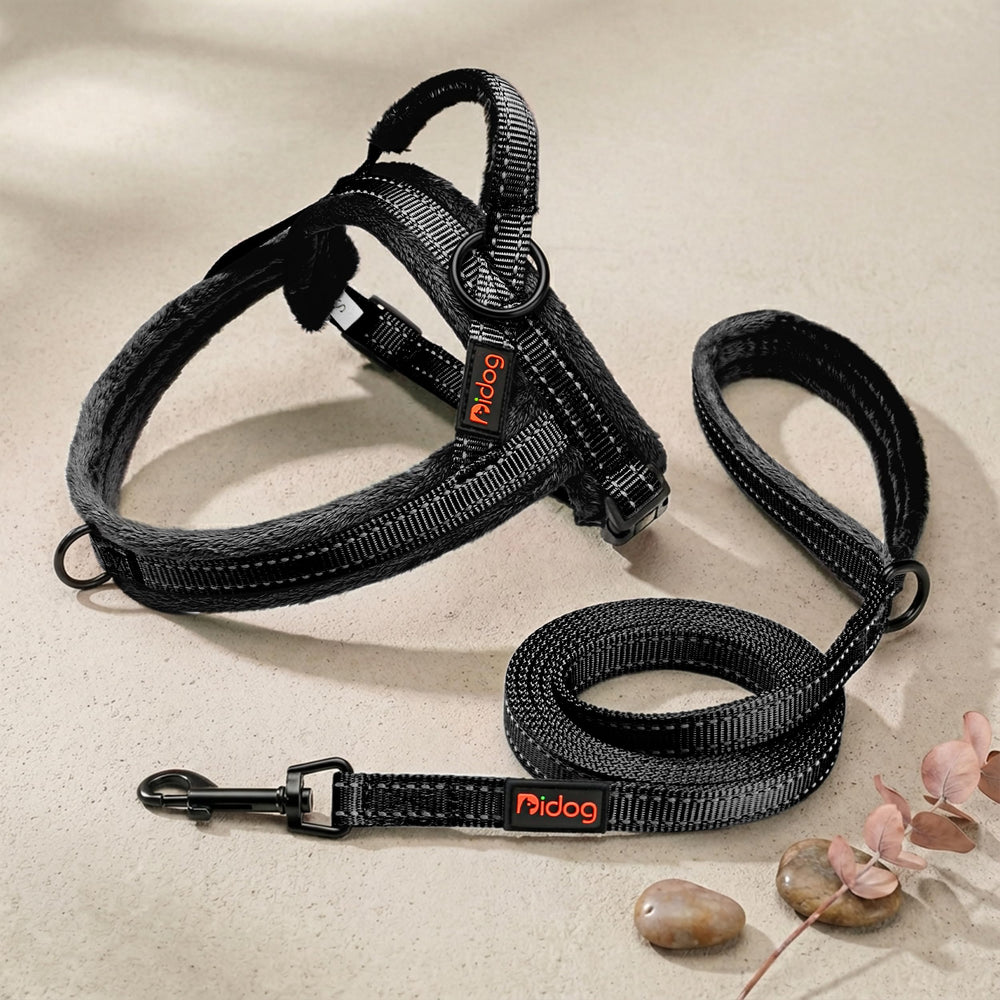 Harnais Didog idéal pour entraînement et promenades quotidiennes.