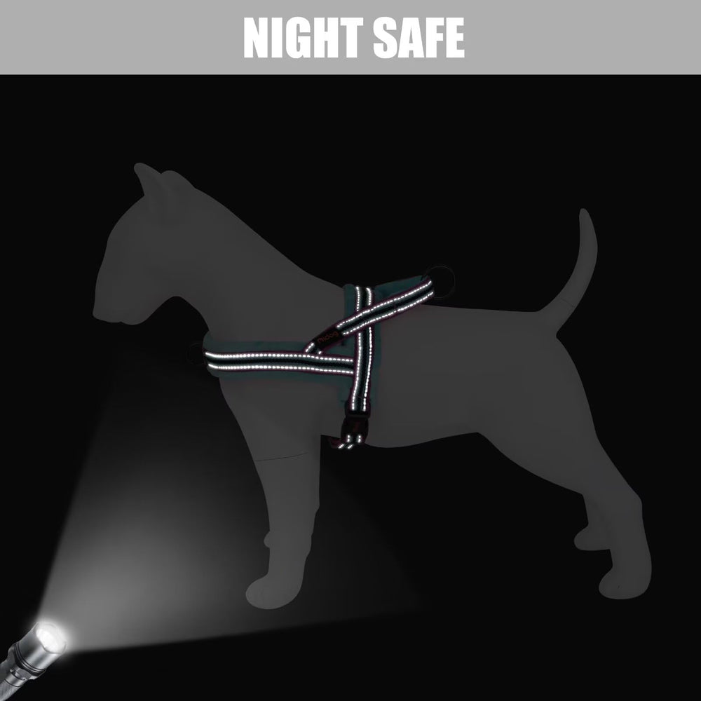 Harnais Didog utilisation nocturne, sécurité accrue lors des balades.