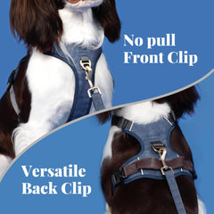 Didog harnais bleu, clip avant pour limiter la traction lors des promenades.