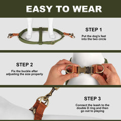 Harnais Didog facile à mettre pour des sorties sans lutte.