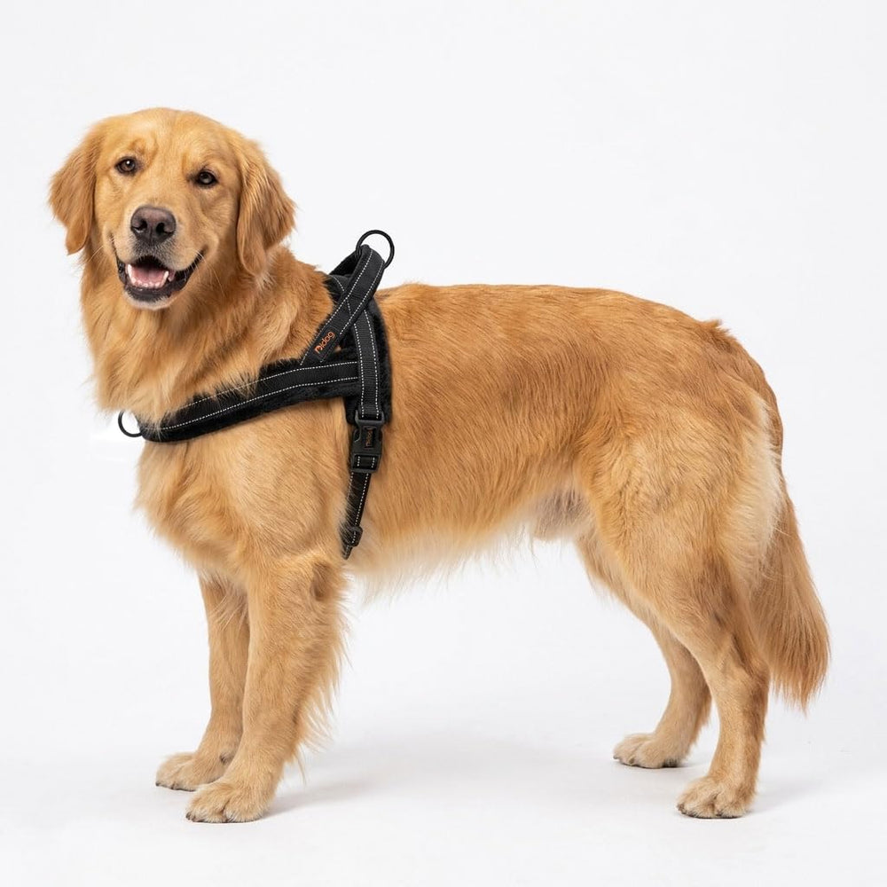 Harnais Didog flanelle douce pad arrière pour un maintien agréable sur les longues balades.