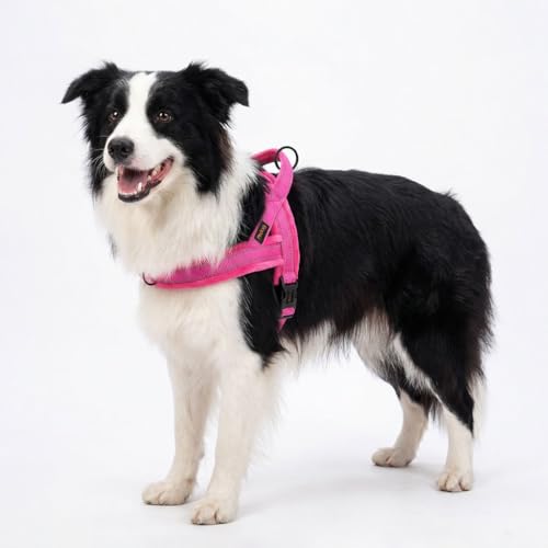 Didog harnais flanelle rose — vue arrière montrant le rembourrage.