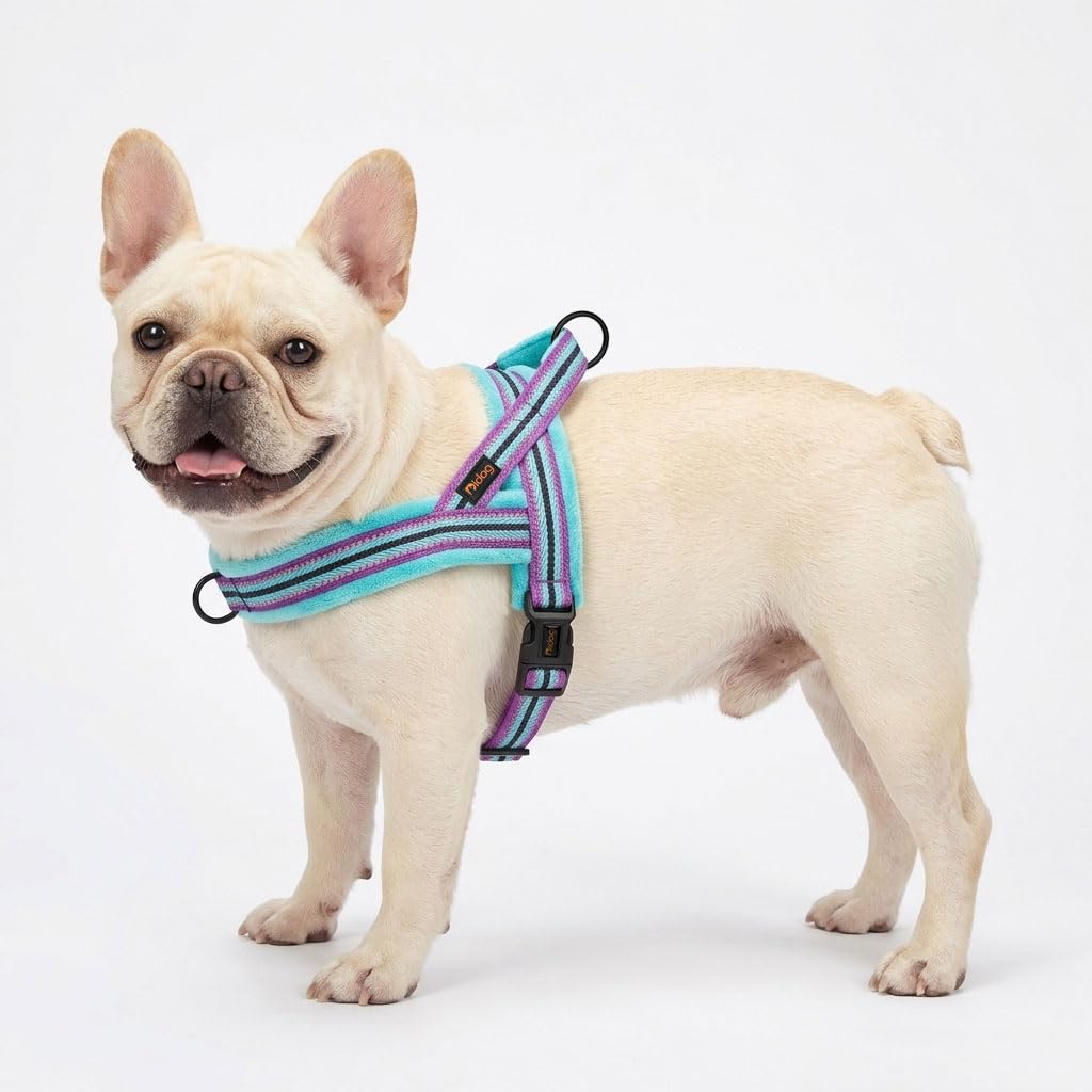 Didog harnais front D-anneau non tirage assure un contrôle sans traction pendant les exercices.