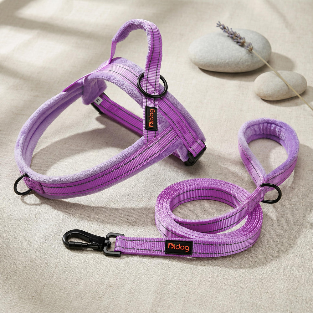 Didog harnais-poitrine-26-32-pouces-violet: ajuste sur grande taille pour chiens moyens.