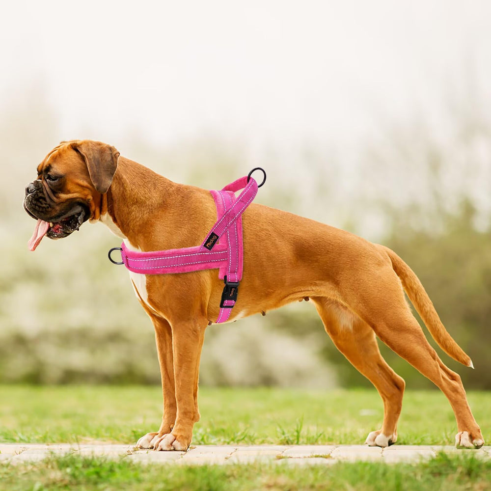 Didog harnais poitrine 46-56 cm, taille adaptée pour la plupart des chiens.