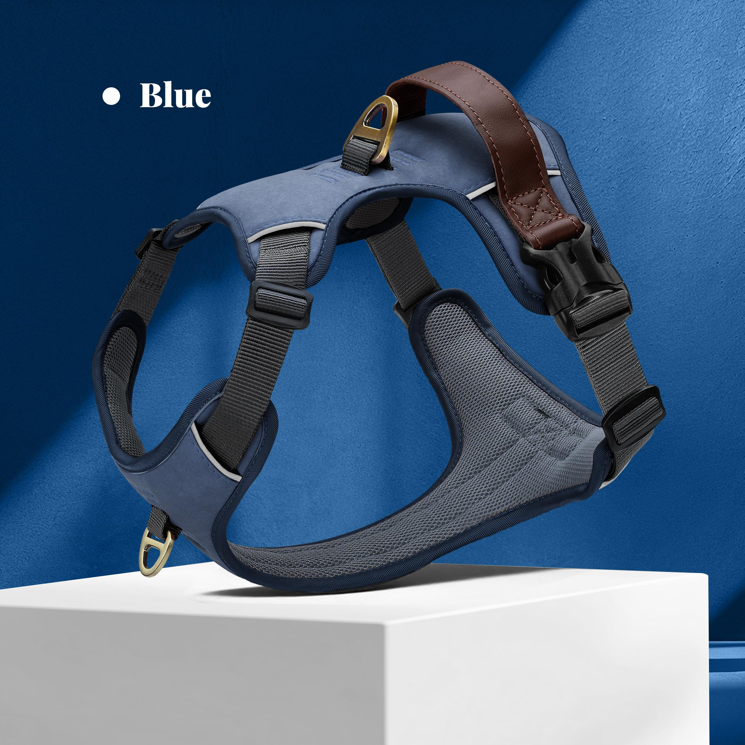 Didog harnais moyen bleu porté sur chien, idéal pour chiens entre 20 et 30 kg.