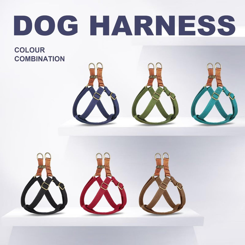 Harnais Didog stylé et durable; look moderne et confort au quotidien.