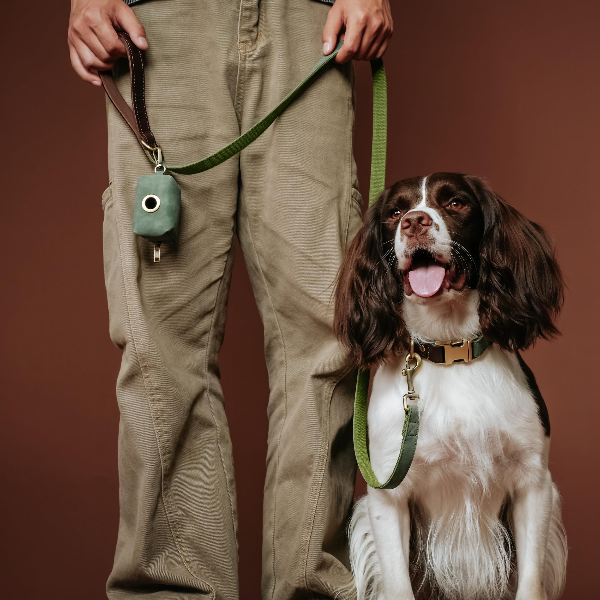 Laisse Didog couleur vert PU cuir, look coordonné pour chien et propriétaire.