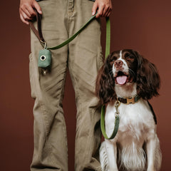 Laisse Didog couleur vert PU cuir, look coordonné pour chien et propriétaire.