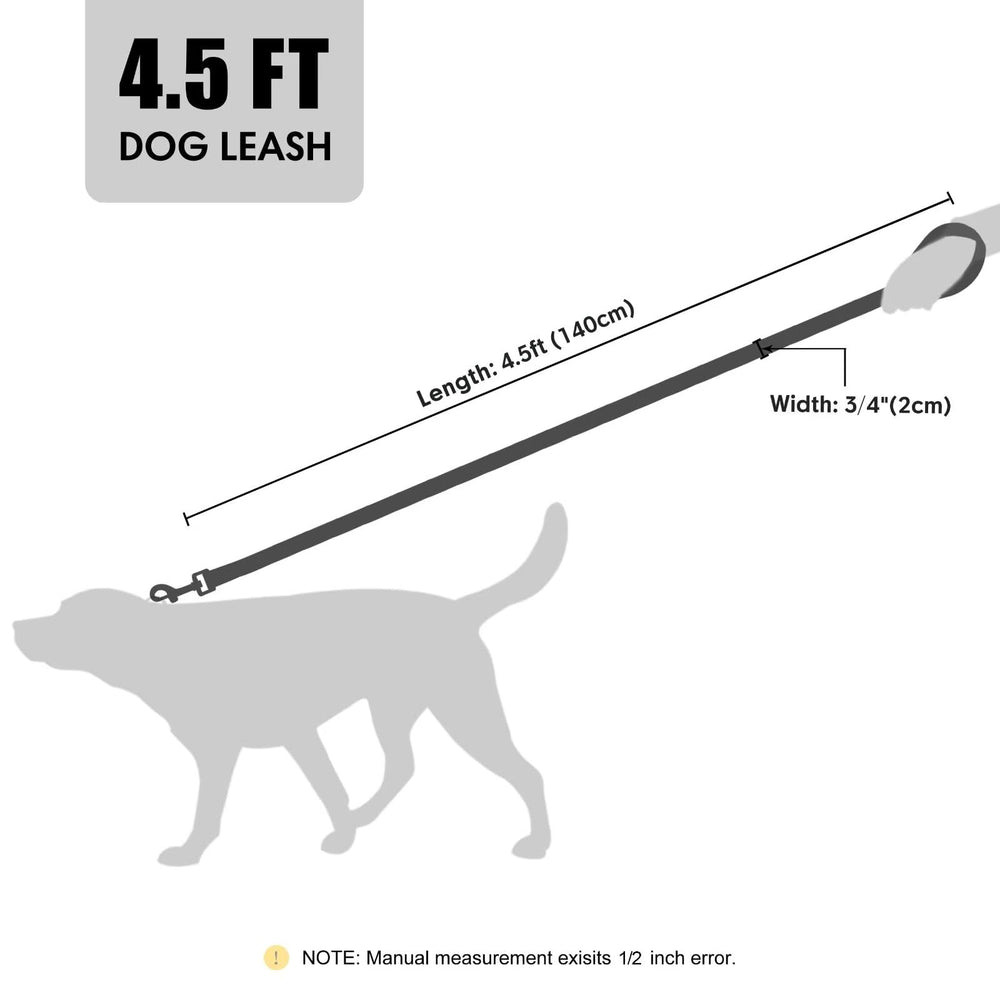 Laisse Didog en extérieur, idéale pour promenades et jeux au parc ou à la plage.