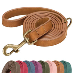 Laisse Didog en PU cuir stylée pour petit chien, idéale pour les balades quotidiennes.