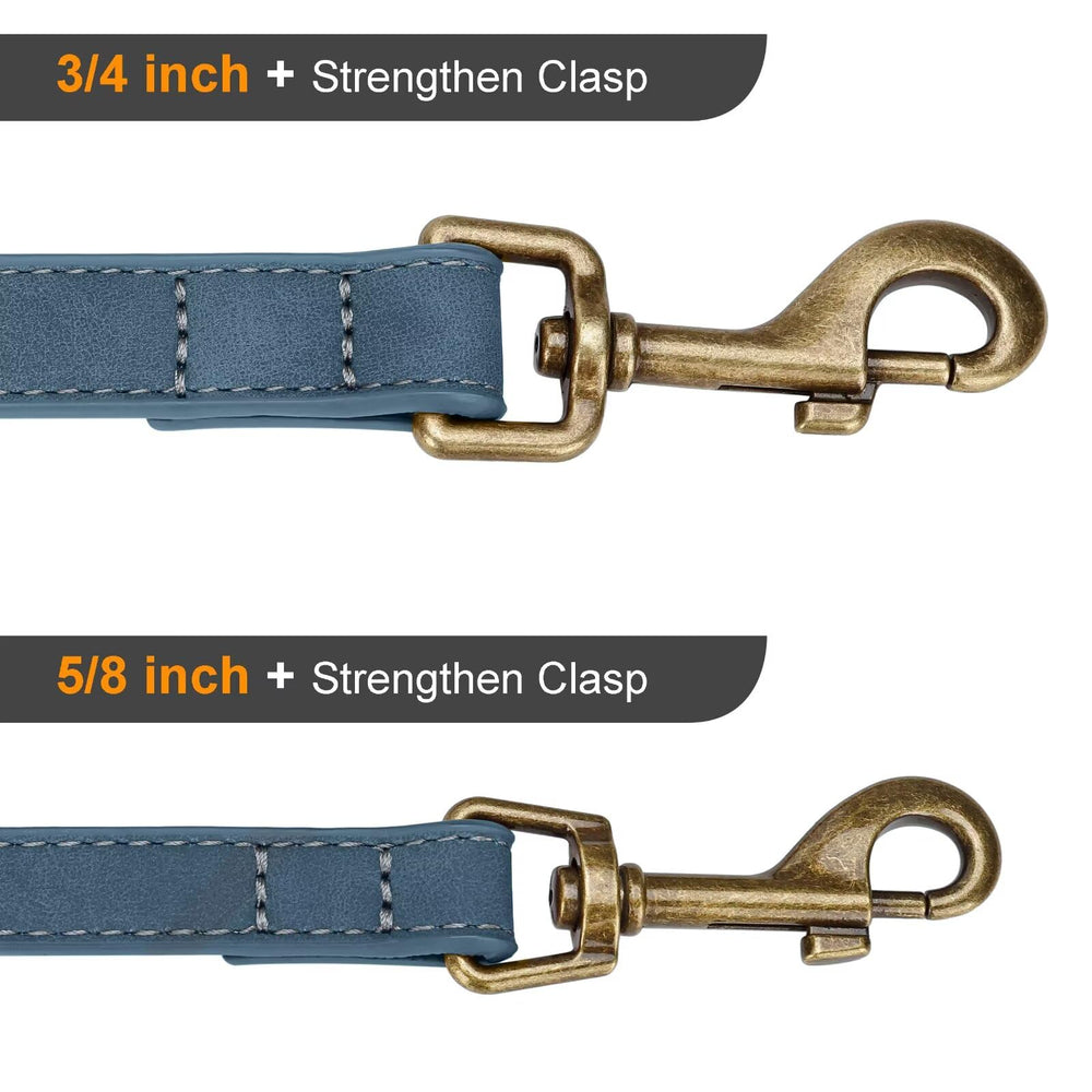 Conçue pour chiens moyens et grands, longueur environ 1,5 m et largeur 2 cm.