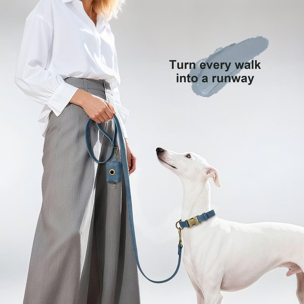 Attache métallique 360° Didog, pour des promenades fluides et sans torsion.