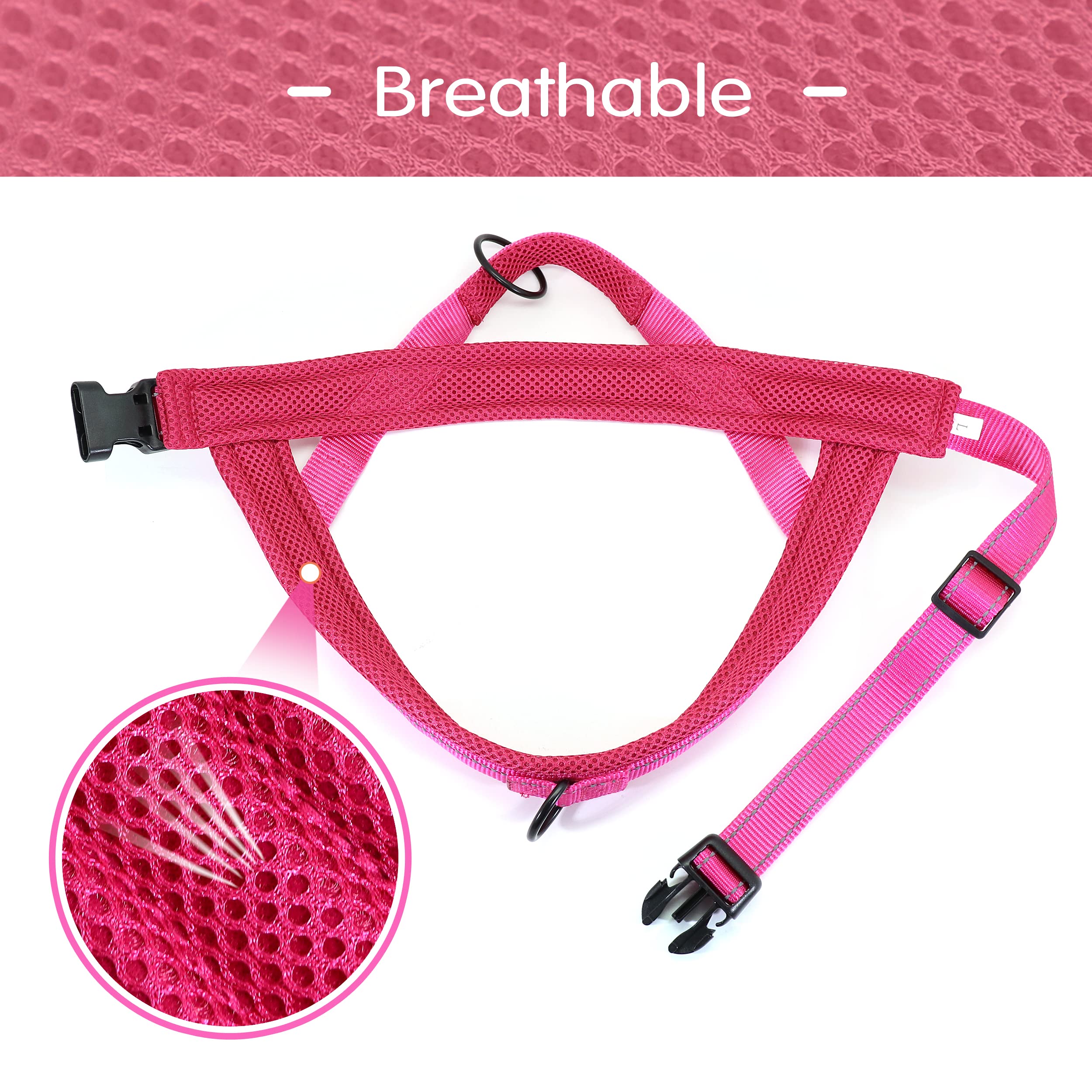 Rembourrage en mesh doux qui évite les frottements sur Didog.