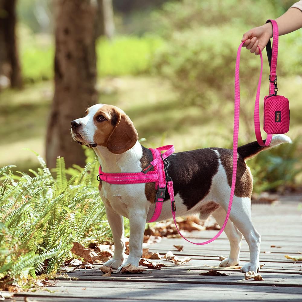 Utilisation quotidienne et promenade confortable avec le harnais Didog rose-fluo.