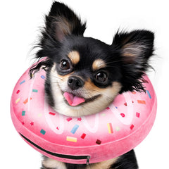 Didopet collier donut gonflable rose sur petit chien, confort post-chirurgie.