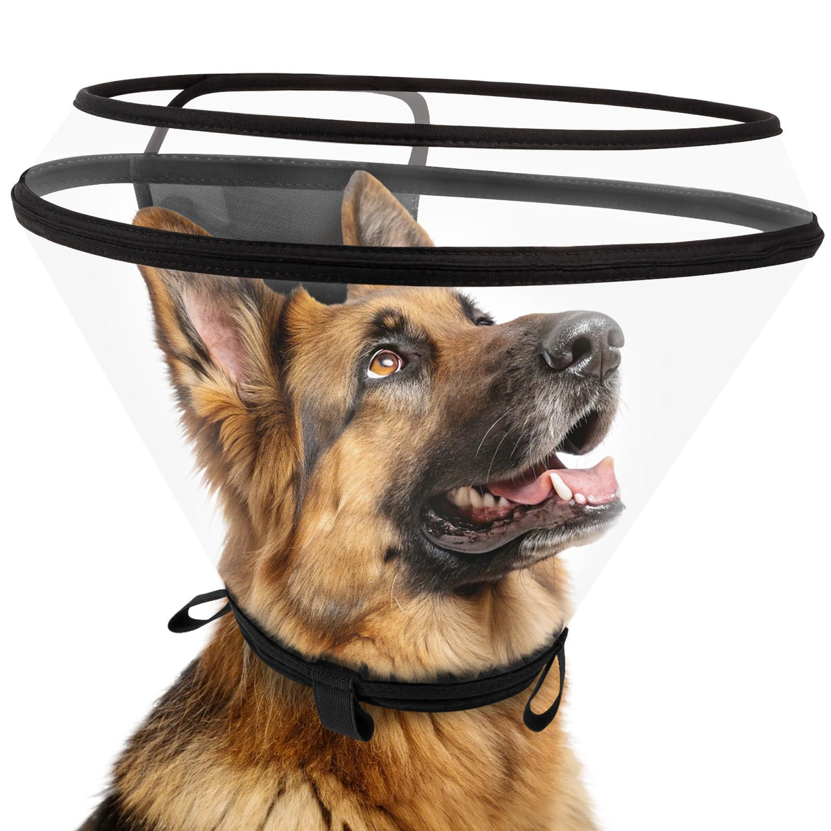 Collier élisabéthain transparent de Didopet, vision périphérique et réduction du stress.