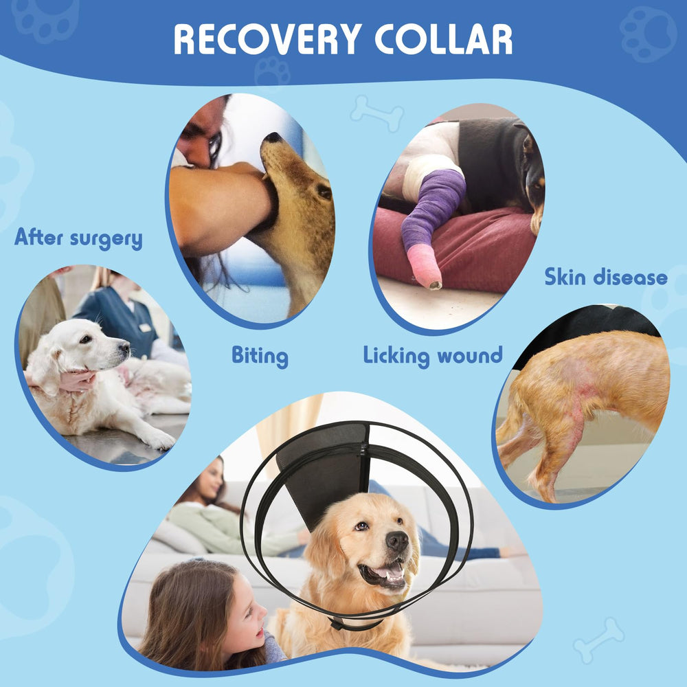 Didopet collier rangement enroule chien, stockage compact et pratique.