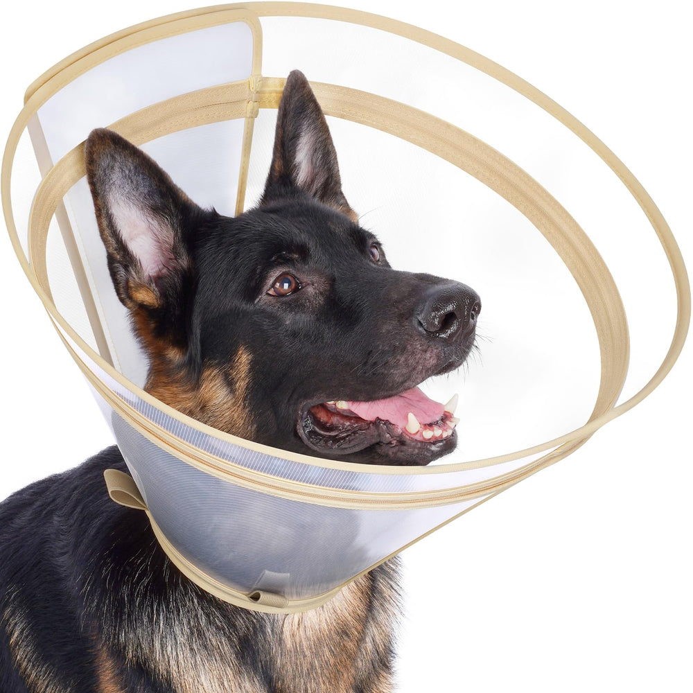 Didopet collier de récupération transparent offrant une vision à 360° pour la récupération.