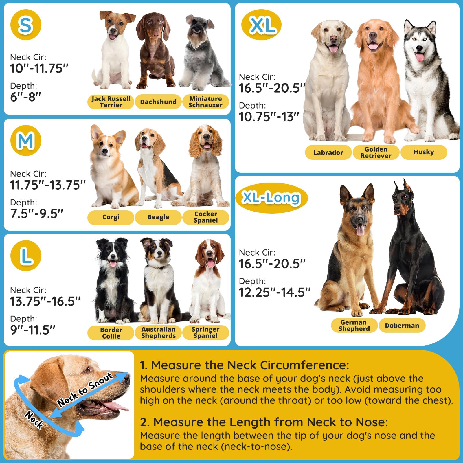Collier Didopet taille XL adapté pour chiens moyens et grands.