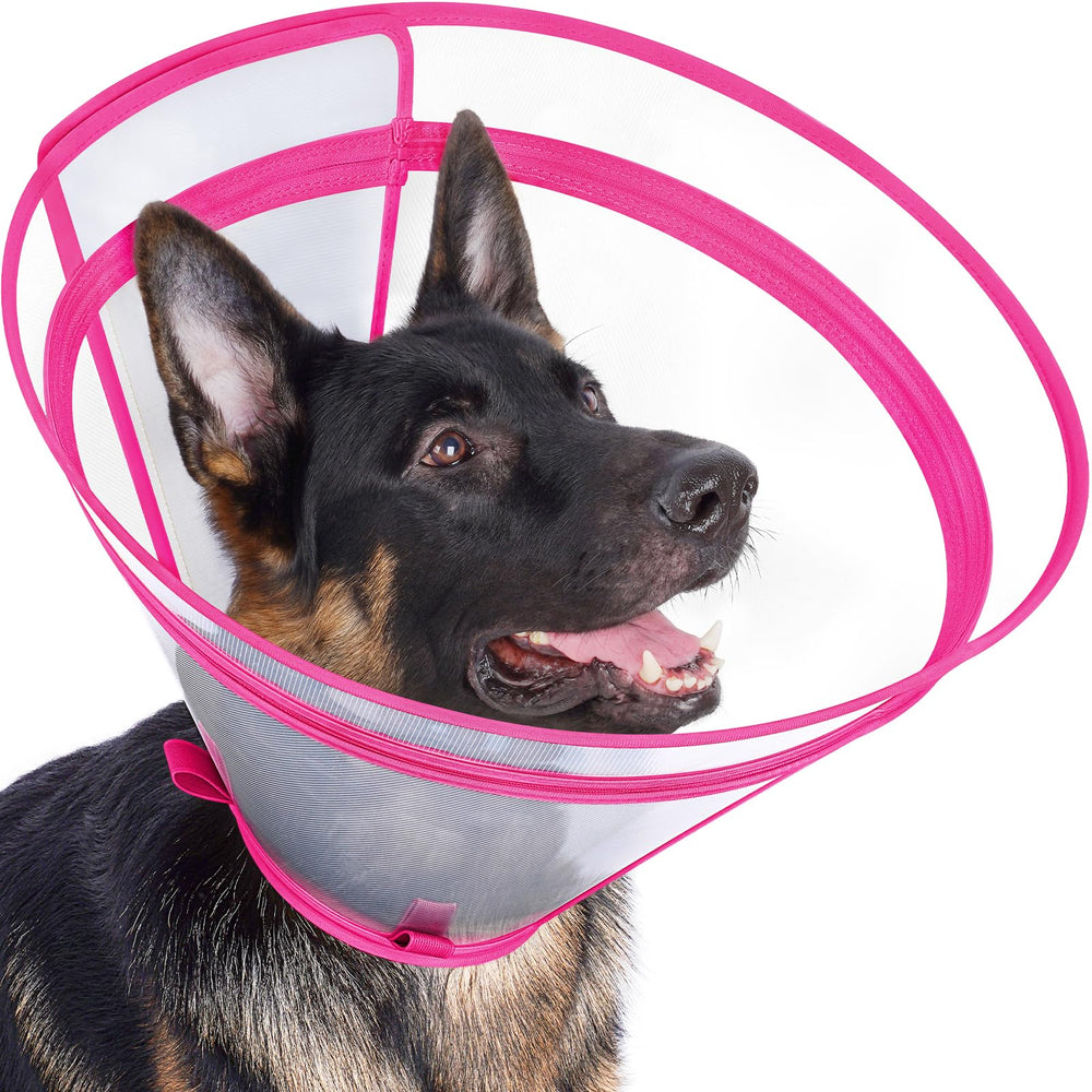 Didopet cone chien recovery XXL rose vue avant pour protection et confort
