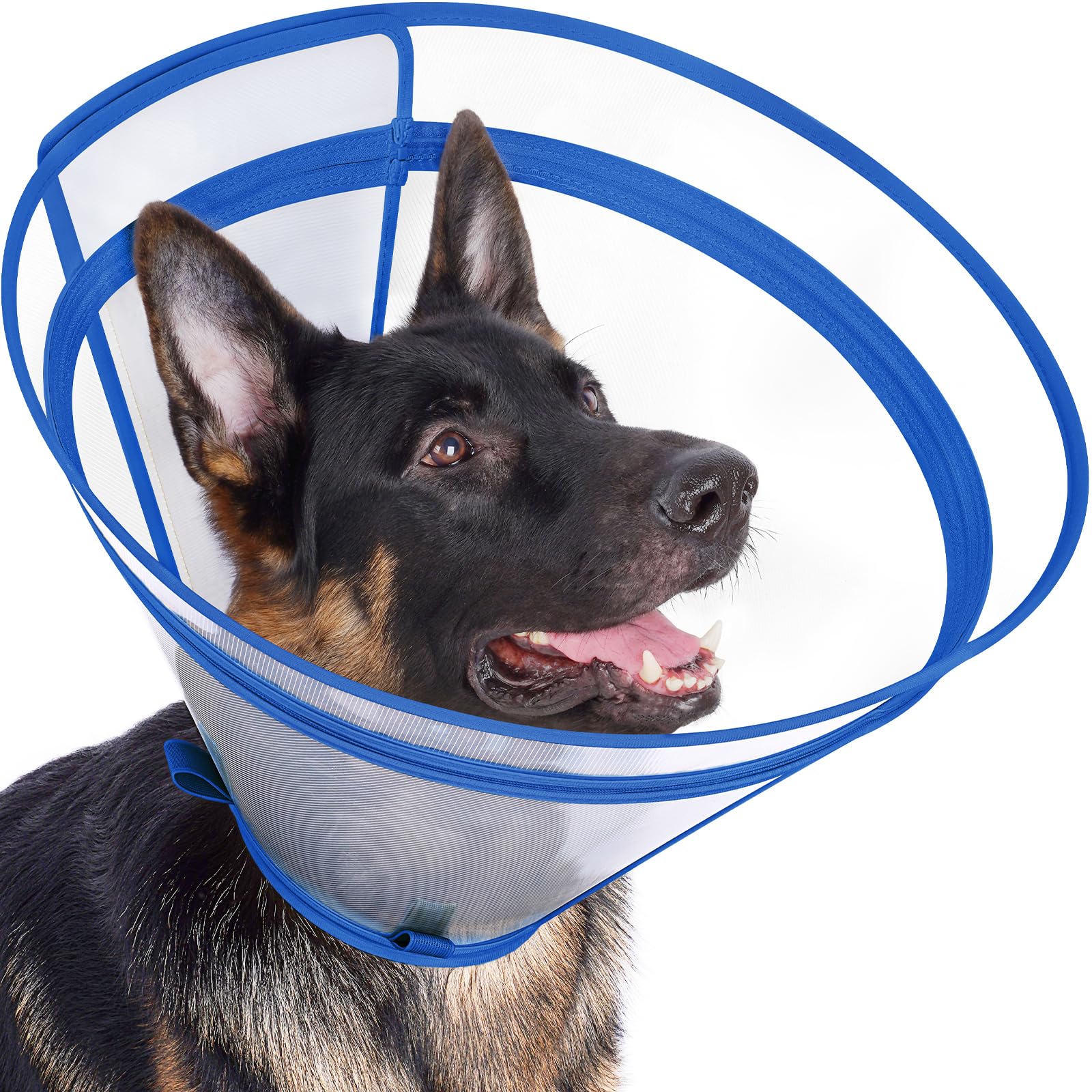 Didopet cône de récupération bleu XL – avant, protection complète et vision à 360°.
