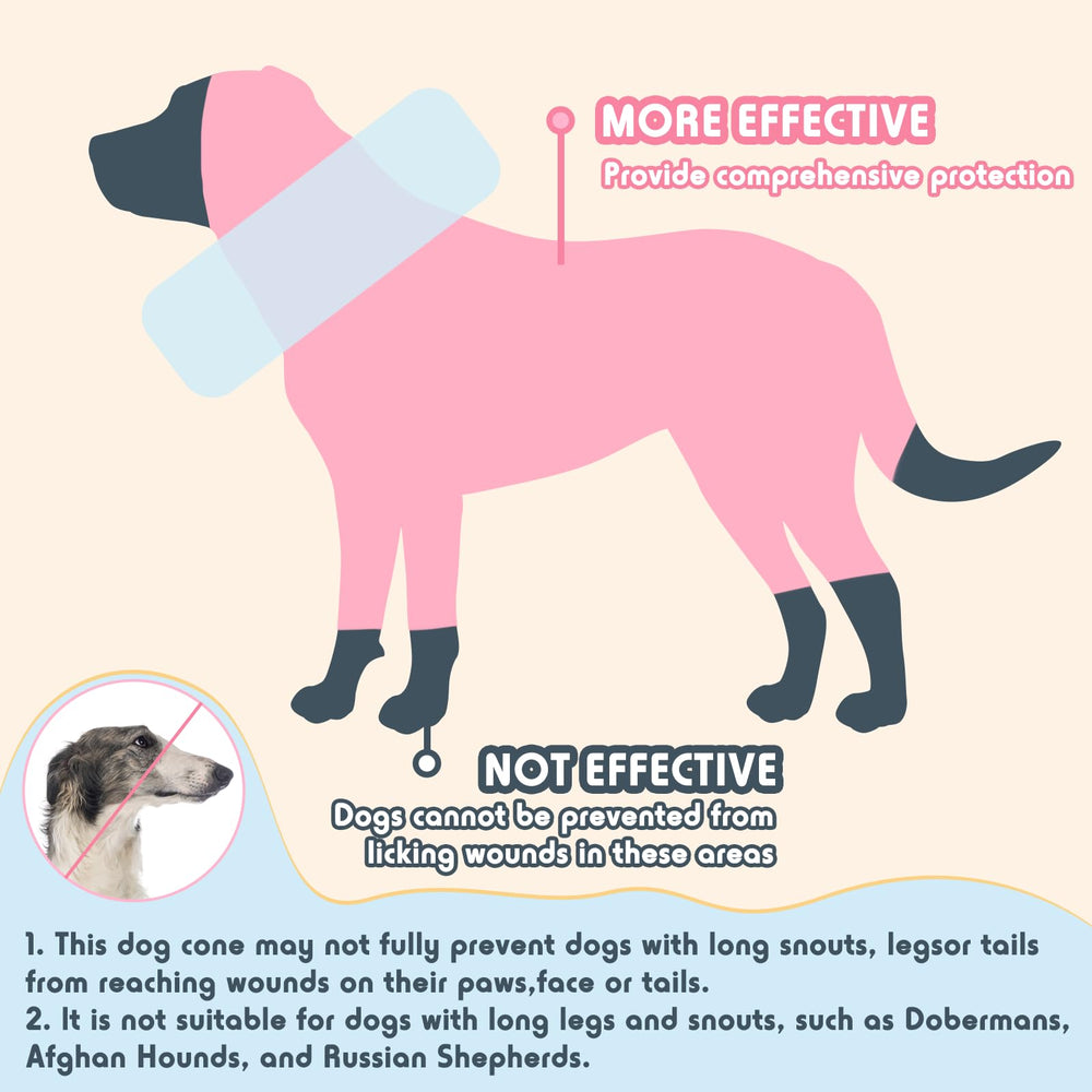 Didopet fermeture sécurisée, maintien fiable autour du cou.