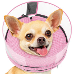 Didopet premier plan: cone gonflable rose, confort visuel pour chien durant la récupération.