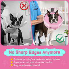 Didopet sangle réglable: ajustement sécurisé pour petit chien.