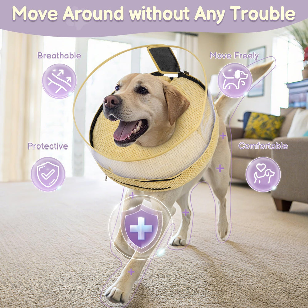Didopet taille S adaptée aux chiens très petits comme le Chihuahua.