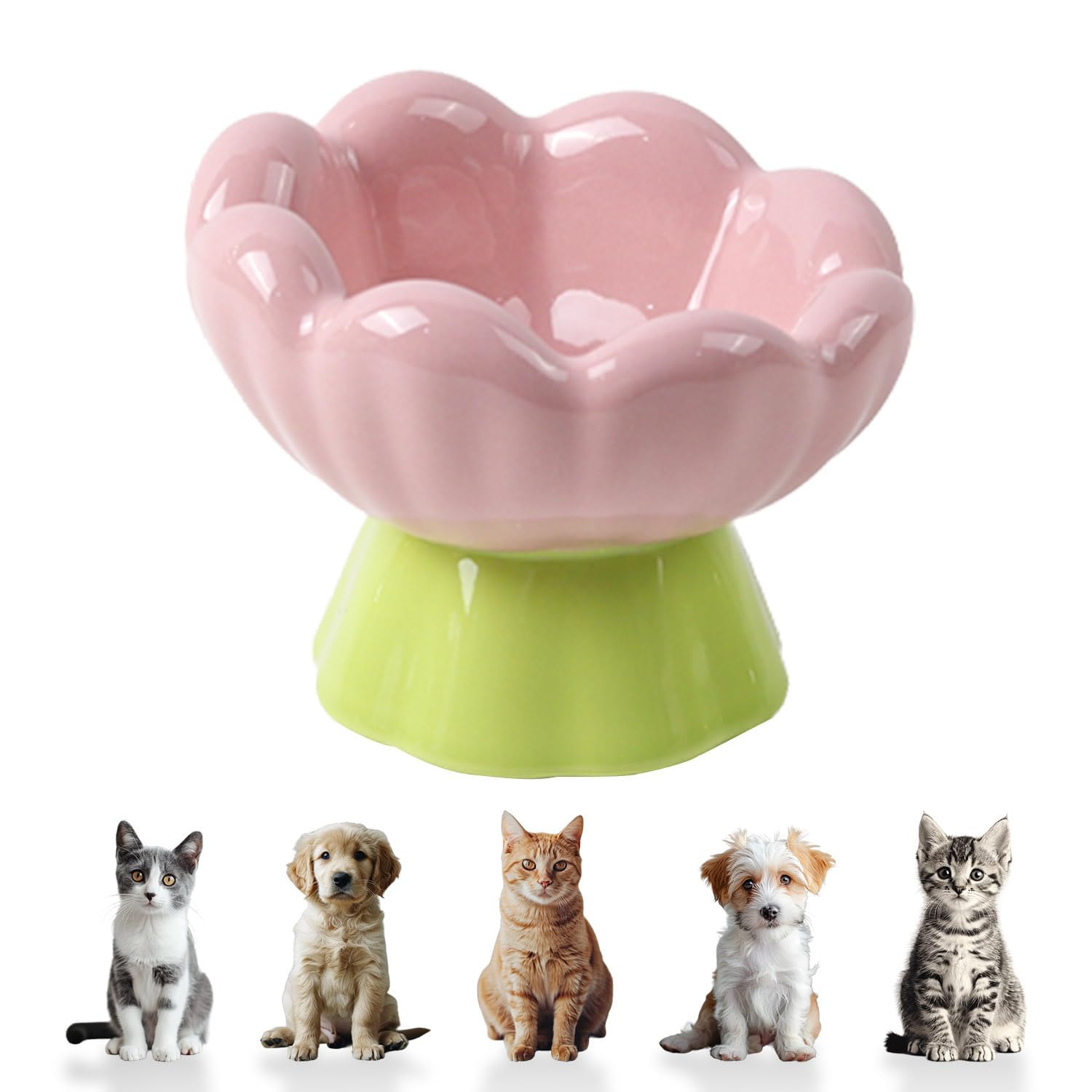 Bol DIF DECO chat surélevé rose tulipe, soutien du dos pendant les repas.